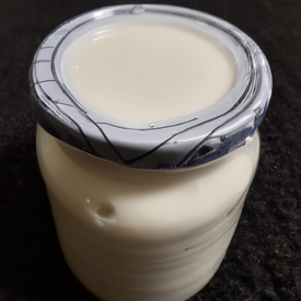 Iogurte desnatado caseiro (top therm)