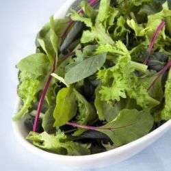 Salada de alface com rúcula
