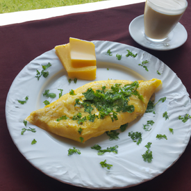 Omelete de Presuto e Queijo